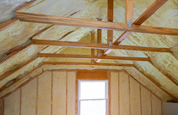 Types of Insulation We Offer in The Homesteads, TX