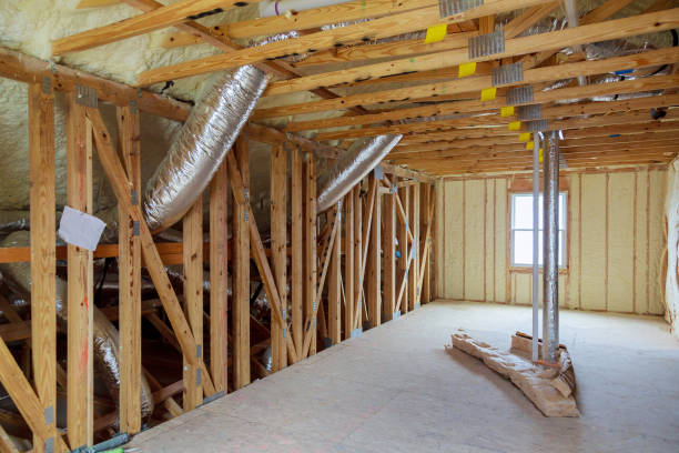 Best Spray Foam Insulation in The Homesteads, TX