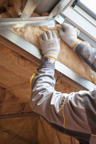 Best Insulation for Specific Applications in The Homesteads, TX