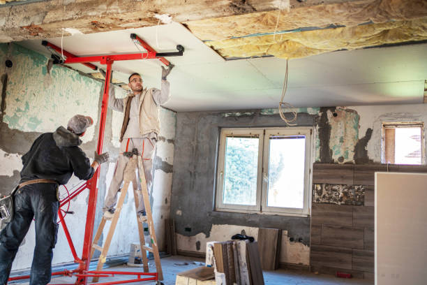 Best Spray Foam Insulation in The Homesteads, TX