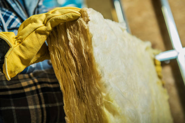 Best Fiberglass Insulation in The Homesteads, TX
