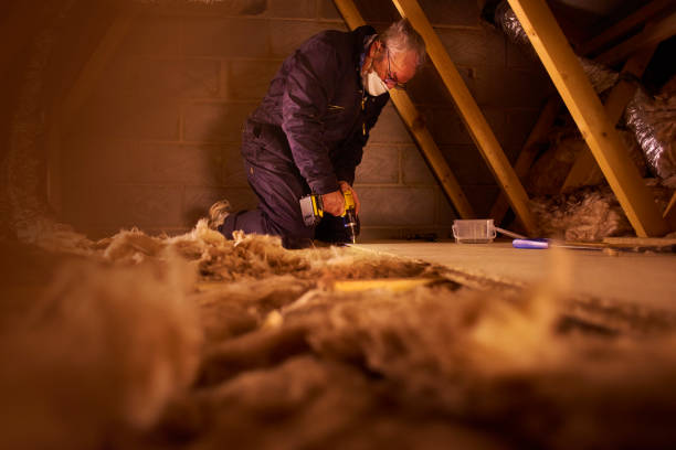 Best Energy Efficiency Insulation in The Homesteads, TX