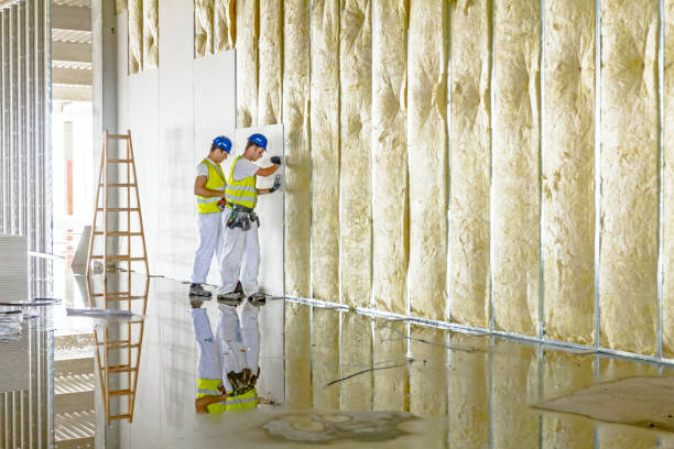 Best Residential Insulation in The Homesteads, TX
